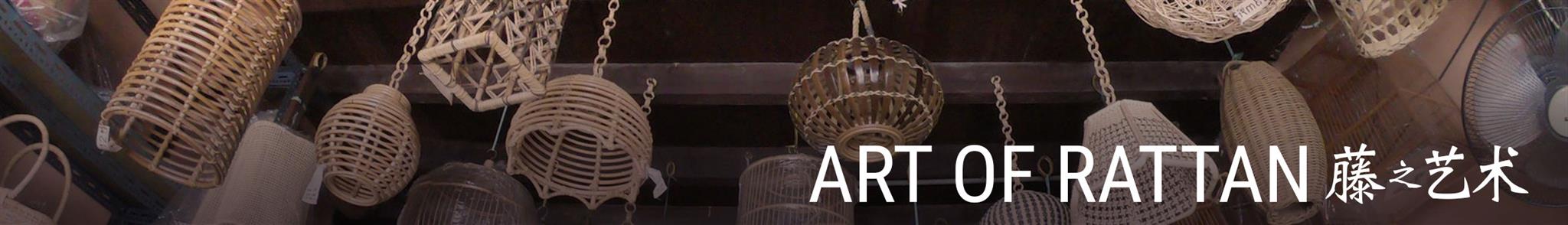 https://www.gvado.com/image/cache/catalog/articles/article-rattan-2048x294.jpg