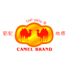 Double Camel 