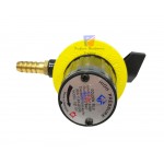 GOLDEN FUJI High Pressure Regulator