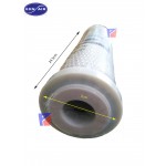 GEN AIR CTO Carbon Block Filter Cartridge