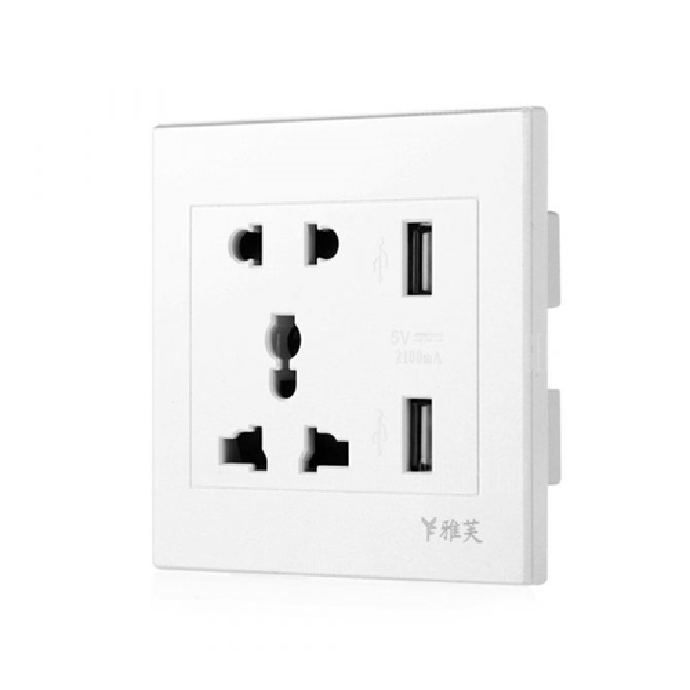 Dual USB 5V/2.1A Charger Ports + Universal 10A Outlet Panel