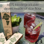 Mokumoku ADA Rice Drinking Straw (EcoFriendly, Go-Green, Biodegradable - Marketplace Harian)