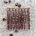 Rose Tea (Test Tube Flowering Tea)