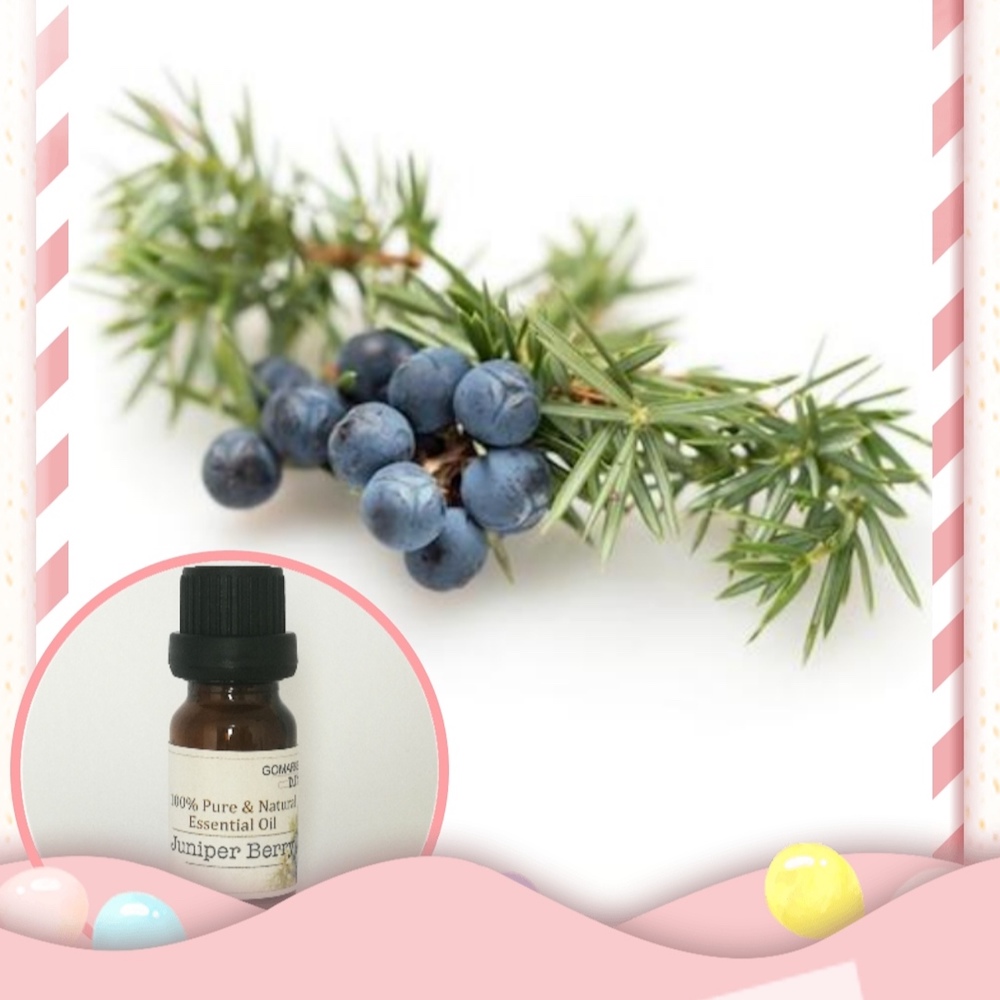 100% Pure Juniper Berry Essential Oil 100% Pure Juniper Berry Essential Oil