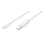 J5 Create USB2.0 Type-C to Type-B Cable / White - JUCX11