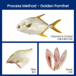 FRESH FISH GOLDEN POMFRET 400-600GM 冰鲜金鲳鱼 (大)