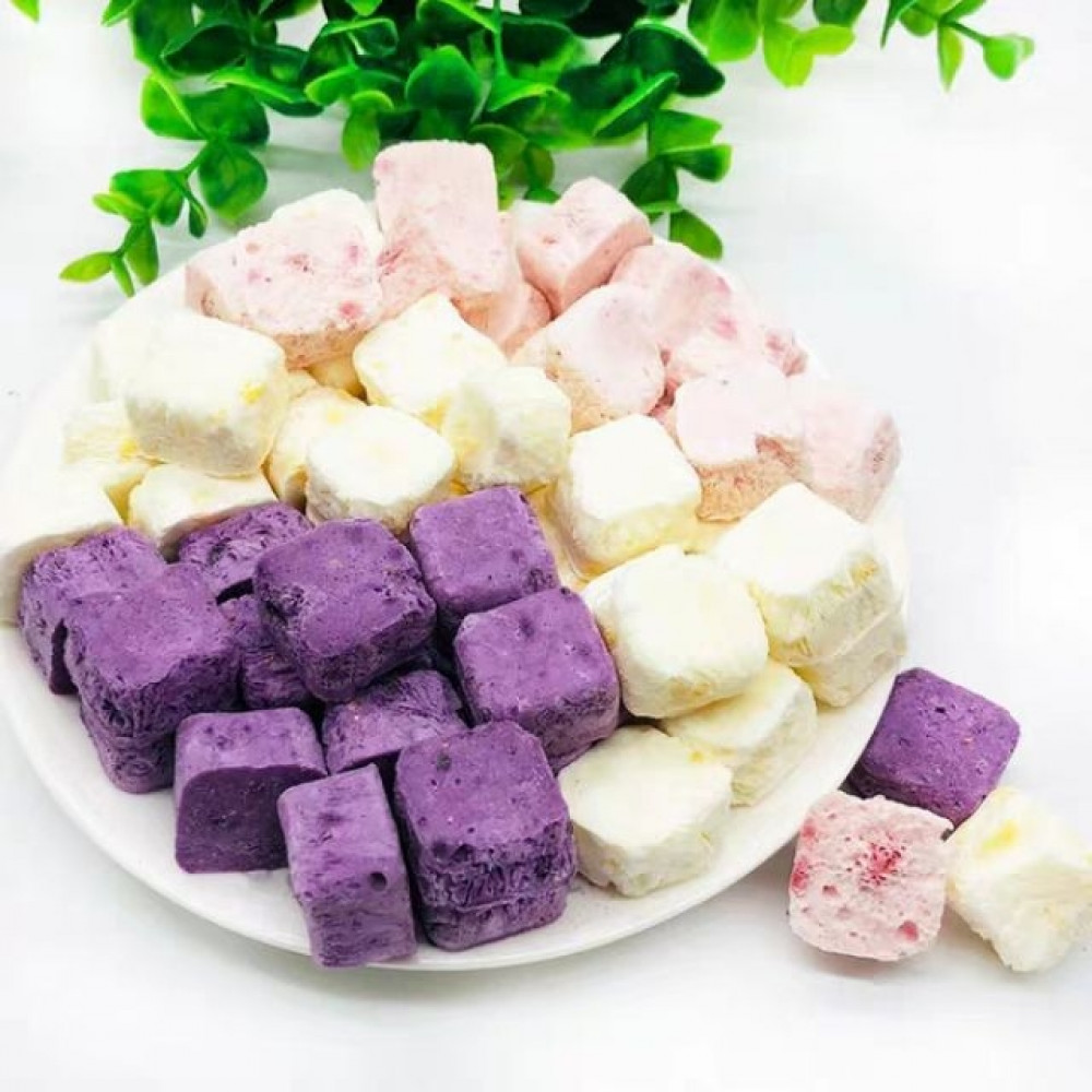 Freezing Drying Mixed Fruits Yogurt Cubes (Pork Free)100 G 冻干酸奶块 Freezing Drying Mixed Fruits Yogurt Cubes (Pork Free)100 G 冻干酸奶块