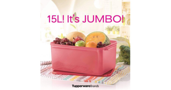TUPPERWARE JUMBO MODULAR KEEPER (1) 15 LITERS EMBERGLOW