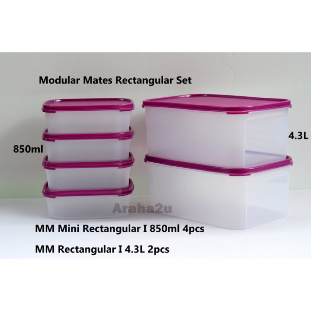 Tupperware Modular Mates Rectangular Set purple cover
