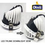 Otali Led Trunk Downlight 30W Day Light/Warm White