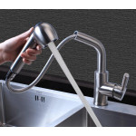304 Stainless Steel Pullout Kitchen Spray Tap ( Shower Head Type )