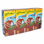 Fernleaf Chocolate Milk (4x200ml)