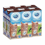 Dutch Lady Chocolate Flavoured Milk (6x200ml)