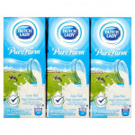 Dutch Lady Low Fat High-Calcium Milk (6x200ml)