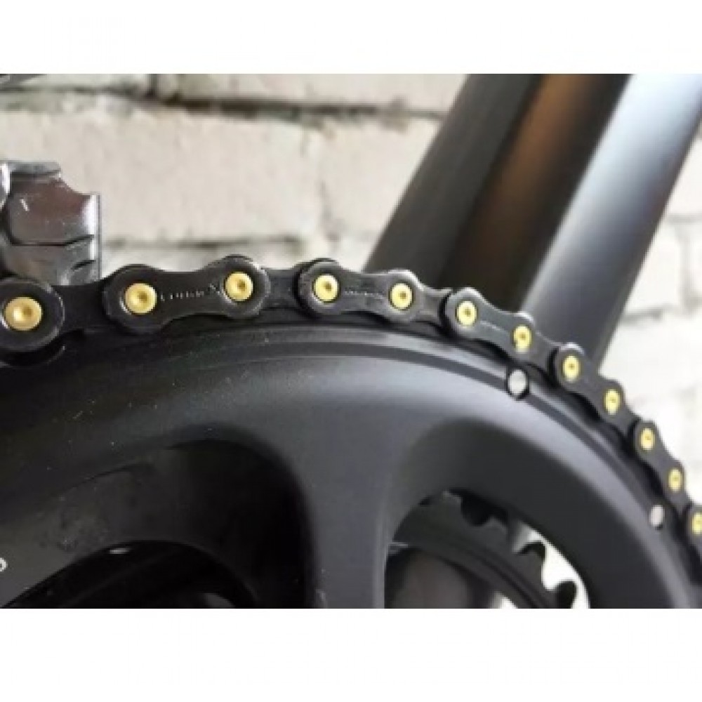 Connex 11sb 2025