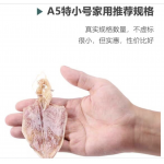 鱿鱼干/吊片 Dried squid