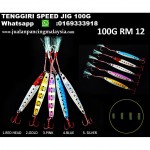 TENGGIRI SPEED JIG 100G