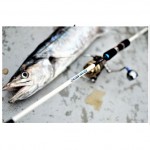 Seahawk CROSS WAVE X ROD