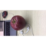 Apple test