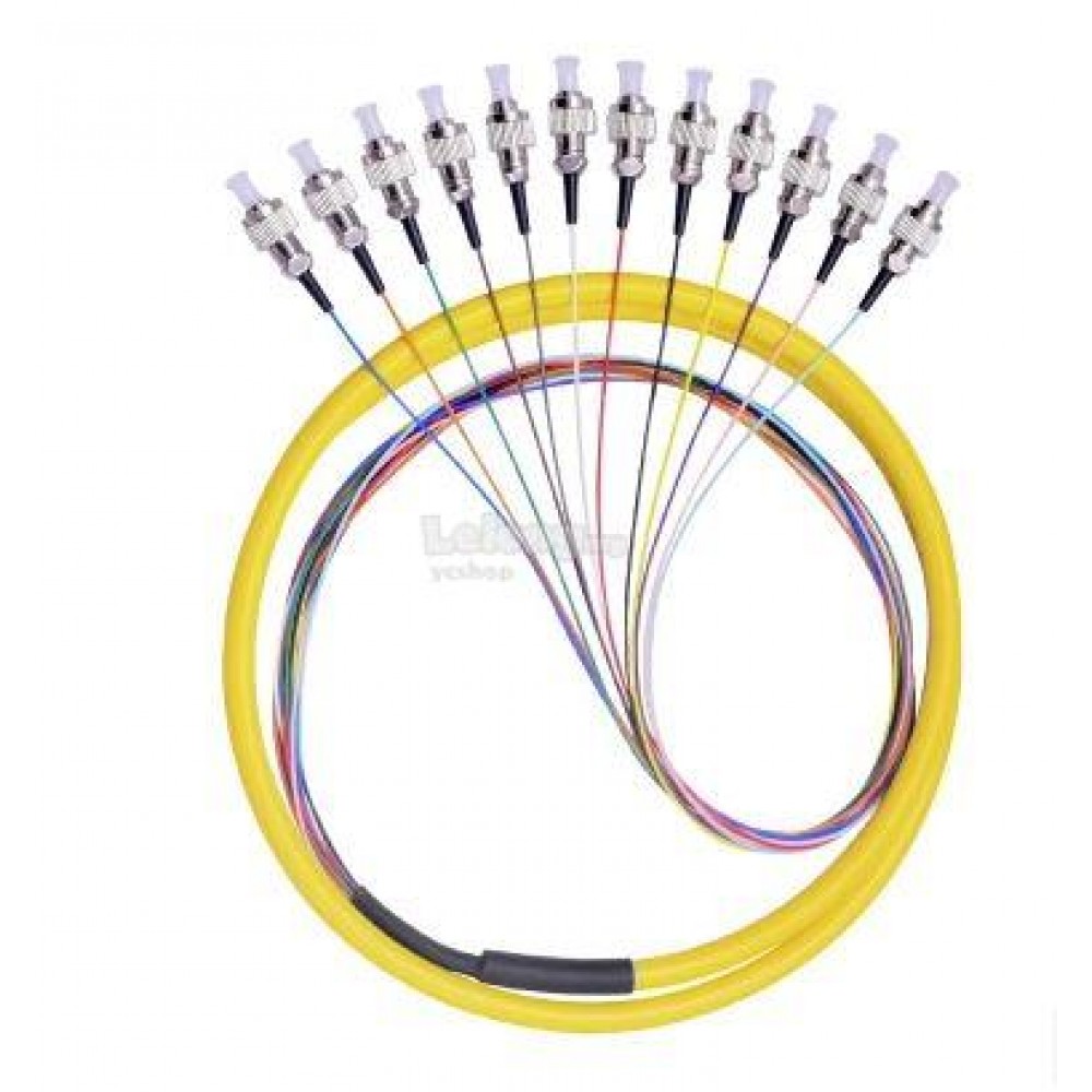 Single Mode FC 12 Core Pigtail 1.2 Meter Fiber Cable (S394) Single Mode FC 12 Core Pigtail 1.2 Meter Fiber Cable (S394)