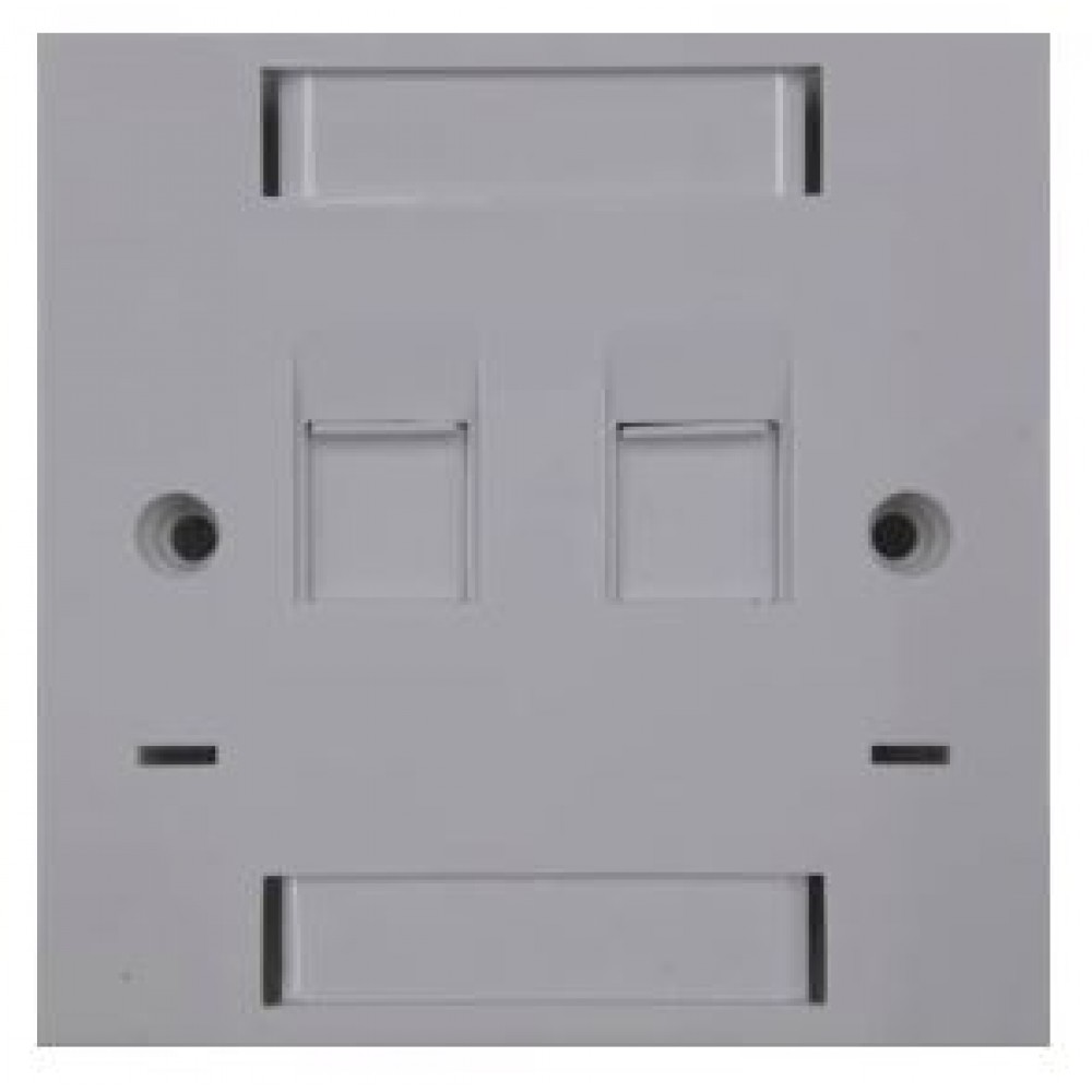 CAT 5e/ CAT 6e Double Face Plate (S022) CAT 5e/ CAT 6e Double Face Plate (S022)