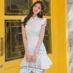 Stand Collar Lace Short Sleeve Slim Fit Ruffled Bag Hip Dress