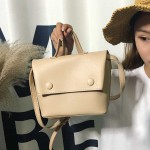 【READY STOCK】Ins super fire simple fashion mini shoulder bag
