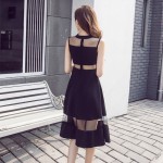 Sexy Scheming Dress Slim Sleeveless Mesh Dress