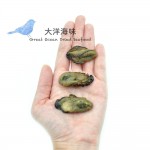 Korean Dried Oyster Size SS 太阳菊韩国蠔干 SS (1x100g)