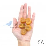 Hokkaido Dried Scallop Size SA 日本北海道干贝 SA (1x100g)