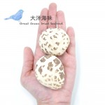 Shittake Dried Mushroom 精品白花菇 (4.2-4.8cm)