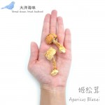 Agaricus Blazei 姬松茸/巴西蘑菇/抗癌蘑菇 (1x100g)