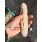 Sea Cucumber- Disco 40/45 沙隆玻璃参 40/45支 (300g-1kg)