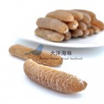 Sea Cucumber- Disco60/65 沙隆玻璃参 60/65支 (300g-1kg)