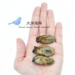 Korean Dried Oyster Size S 太阳菊韩国蠔干 S (1x100g)