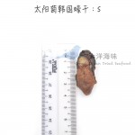 Korean Dried Oyster Size S 太阳菊韩国蠔干 S (1x100g)