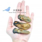 Korean Dried Oyster Size M 太阳菊韩国蠔干 M (1x100g)