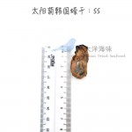 Korean Dried Oyster Size SS 太阳菊韩国蠔干 SS (1x100g)