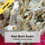 Ikan Bulu Ayam 250gm