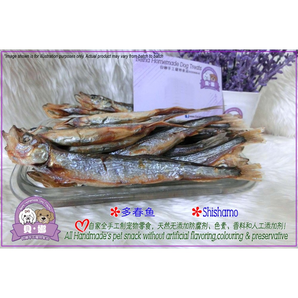 Beina Homemade【Shishamo】Dehydrated Pets Treats 8PCS Beina Homemade【Shishamo】Dehydrated Pets Treats 8PCS