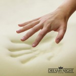 Dreamynight Home Memory Foam Bamboo Charcoal Contour Pillow