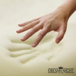 Dreamynight Home Memory Foam Bamboo Charcoal Contour Pillow