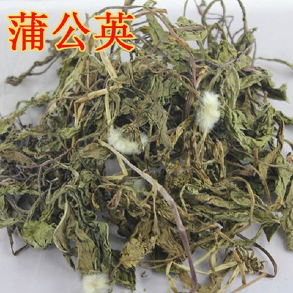蒲公英 100G 蒲公英 100G