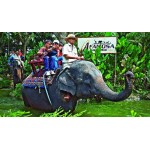 ( Mon-Sun) 1-Day Admission Ticket to Safari Wonderland for 1 Adult