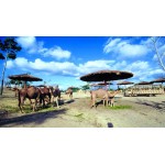 ( Mon-Sun) 1-Day Admission Ticket to Safari Wonderland for 1 Adult