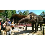 ( Mon-Sun) 1-Day Admission Ticket to Safari Wonderland for 1 Adult