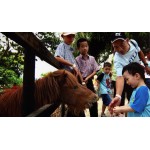 ( Mon-Sun) 1-Day Admission Ticket to Safari Wonderland for 1 Adult