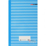 CAMIS FOOLSCAP H/C BOOK 50G 300P (SNB-523)