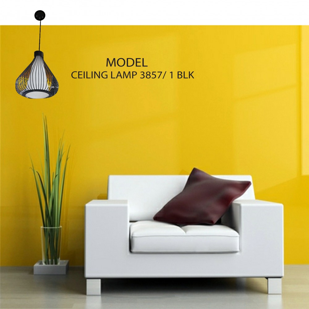 Ceiling Lamp 3857/1 BLK Ceiling Lamp 3857/1 BLK