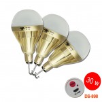  DC 5V 30W Rechargeable Bulb DS-898